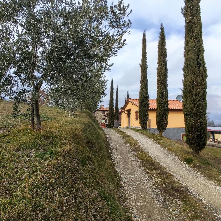 Agriturismo La Casina Caprese Michelangelo Exterior foto